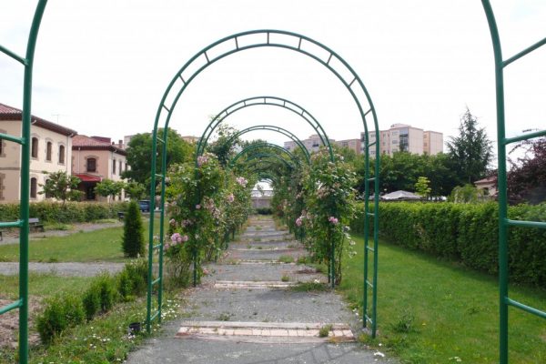 Jardín 15