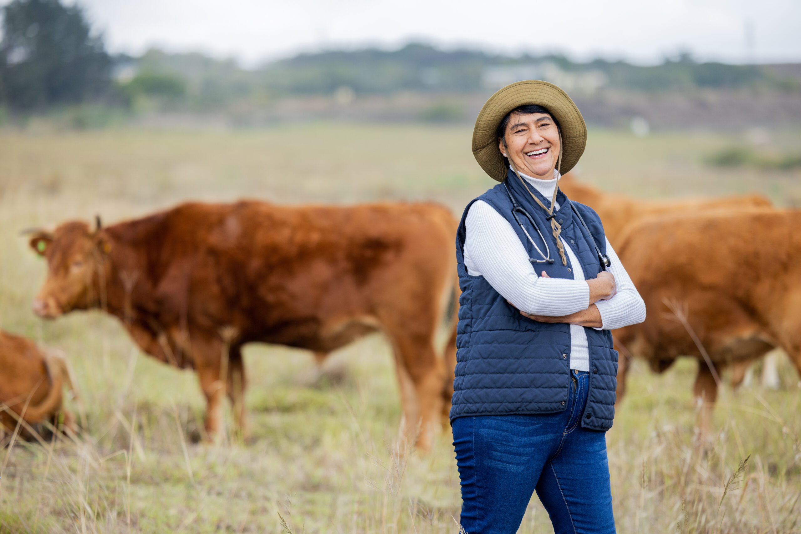 Cows, vet and portrait of farmer woman for agriculture health, cattle or free range management in f.
