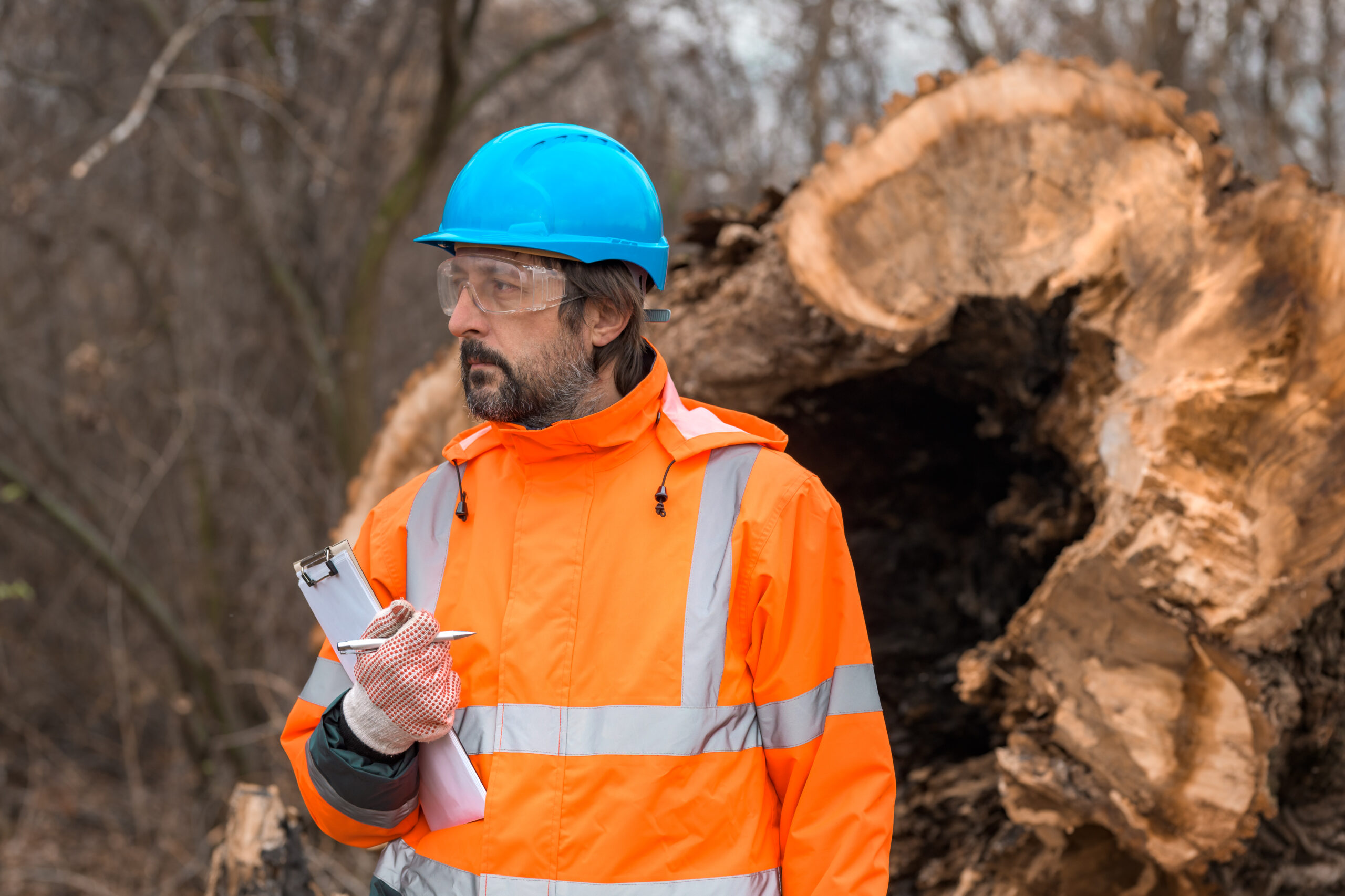 Forestry technician posing with clipboard notepad next to a tree log in forest, confident male professional collecting data on field