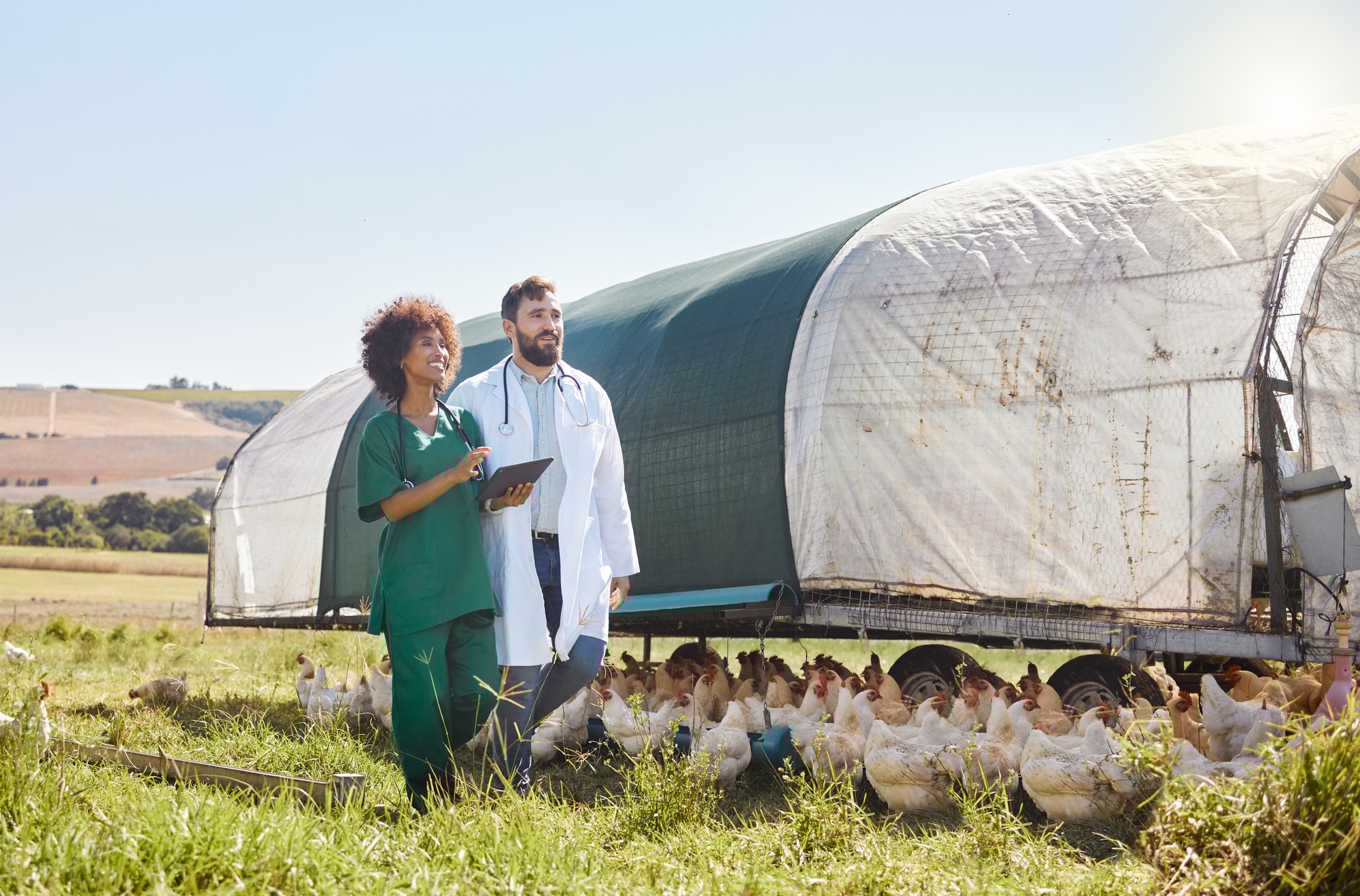 Tablet, agriculture or healthcare with a vet and nurse on a poultry farm for sustainability or trea