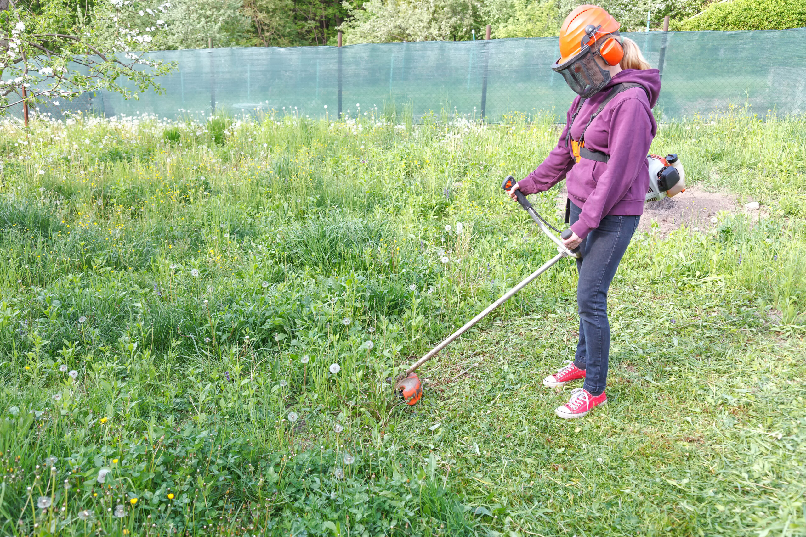 The woman mows the grass in the garden with a gasoline trimmer. She is wearing goggles and a helmet with headphones. Work in the garden in the spring.
